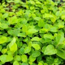 정금농장 이미지