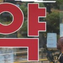 아플때약국 이미지