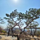 세종조경농원 이미지