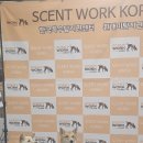 한국특수탐지견센터 이미지