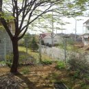 통나무향기 이미지