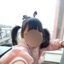풍경식당 | 빵나스픽 재방문+재재방문한 제주 오션뷰 고기 맛집 바다풍경 정육식당 후기