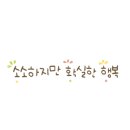 더블유펜션 - 강릉시 노추산로 305-27 | 더블유펜션