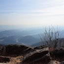 신모 이미지