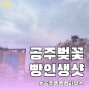 금강하우스 | 공주 금강뷰 카페 추천, 빵빵빵하우스 주말 데이트 (+위글위글 장바구니 후기)