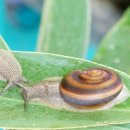 코코농원2 이미지