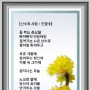 사랑의빛 이미지