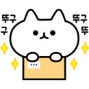 꽈백최선생