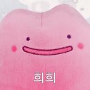 둥글둥글 이미지