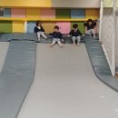 키크는나무
