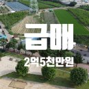 만석꾼공인중개사사무소 이미지