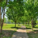 대순진리회 이미지