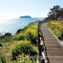 사도마을회관 이미지