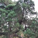 우각리 오의정 이미지