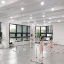 예종리즈발레학원 이미지