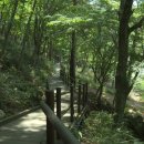 운일암반일암숲길 이미지