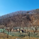 용천목욕탕 이미지