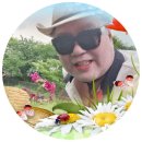 영상화원 이미지
