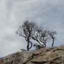 오서산사슴목장 이미지