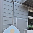 매지밀 딸기농장 | 아이랑 국내여행 강원도 원주여행 가볼만한곳 추천 / 매지밀 딸기농장