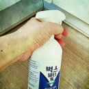 방구 벌레 스트레스로 우울증 걸릴 뻔한 썰