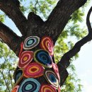 새옷처럼 이미지