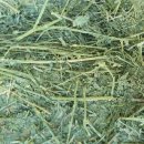 (주)쌍용에프엔씨 이미지