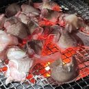 서귀포꼼장어