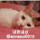 범골화로