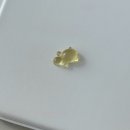 부산 광안리 소품샵 프레젠띵! 행운 거북이(금부기) 온라인 스토어 구매후기🐢🍀