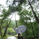 에코리조트 이미지