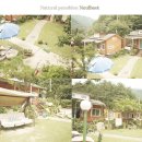 오대산늘벗 이미지