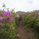 좋은 아침 이미지