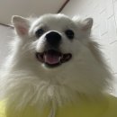 정보없음 | 몽이의 무비로그] 휴민트 관람후기 ㅣ 내돈내산 쿠키없음 결말 정보