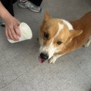 하주초등학교 이미지