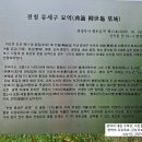 전첨 류세구묘역 네이버블로그