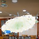 핫둘제주