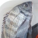 대림민박 이미지