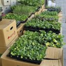 창원농약사 이미지