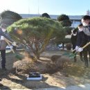 휴식 Ⅱ 이미지