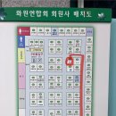 [양재] 양재꽃시장에서 평점4.9점?!&#39;플라워스토리&#39;가격은? 직접 다녀온 후기(+할인 받는 법)