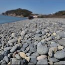 완도 정도리 구계등 이미지