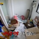 하하청소