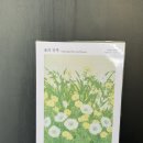 주식회사 도시정원묘한세상 | [전시] 🌸 알부스 갤러리 " 꽃의 안부" 백지혜 개인전" 관람 후기