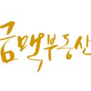 금금맥공인중개사사무소 네이버블로그
