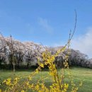 한우목장 이미지