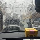 고림카센타 이미지