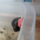 비슬향 유치원 이미지