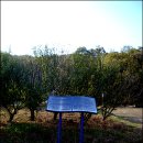 류사눌묘 이미지