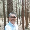 소리나무숲